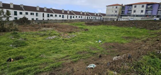 Inicio dos trabalhos do lote 8