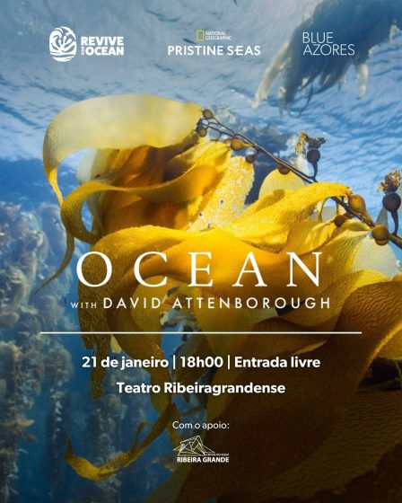 OCEAN – Teatro Ribeiragrandense